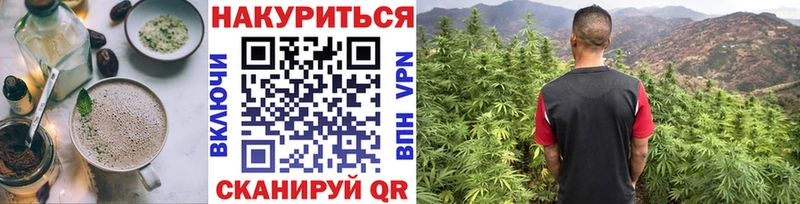 продажа наркотиков  гидра ССЫЛКА  Cannafood конопля  Колпашево 