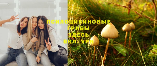 круглые Краснослободск