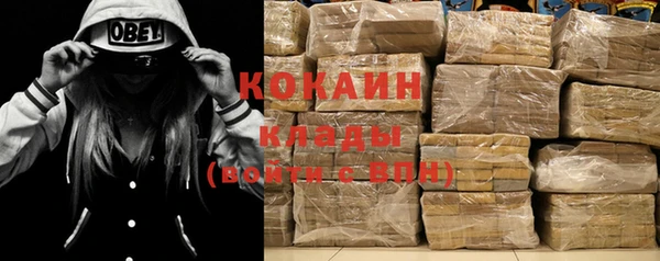 дмт Кодинск