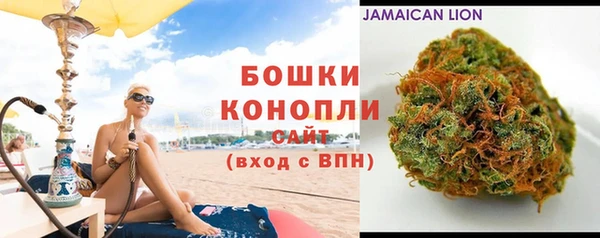 2c-b Козловка