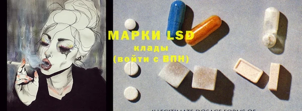 индика Кулебаки